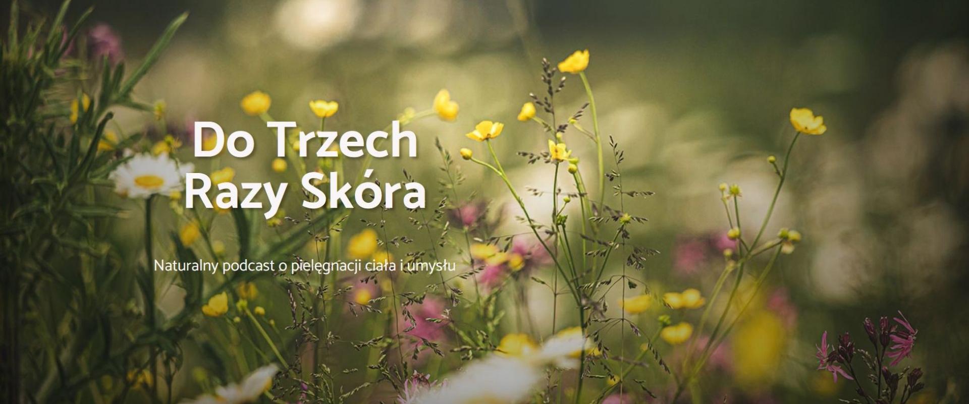 Wirtualne Kosmetyki w podcaście Do Trzech Razy Skóra